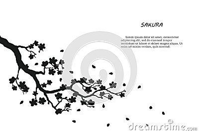 Black silhouette of sakura on a white background Vector Illustration