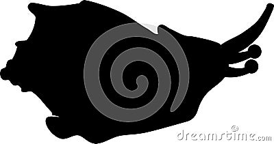 Black silhouette of sea snail Rapana Stock Photo
