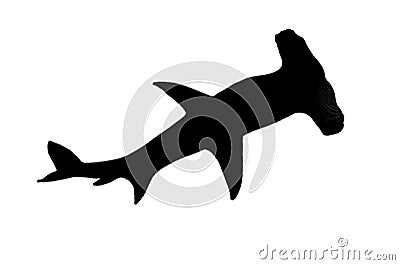 Black silhouette shark hammer. Illustration of a hammerhead shark bottom view Cartoon Illustration