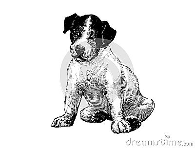 Black silhouette of a small sitting dog on white background. Computer generated sketch / drawing. Cartoon Illustration