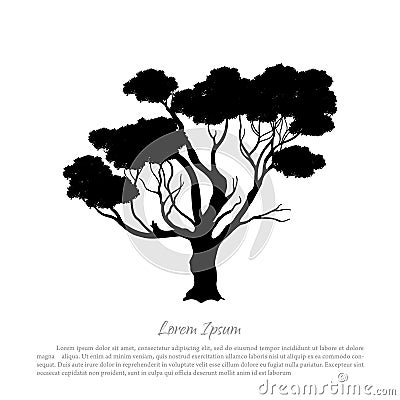 Black silhouette of a tree on white background. Australian nature. Desert landscape Vector Illustration