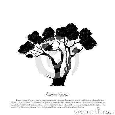 Black silhouette of a tree on white background. Australian nature. Desert landscape Vector Illustration