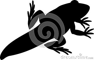 Black silhouette of young frog with tail Stock Photo