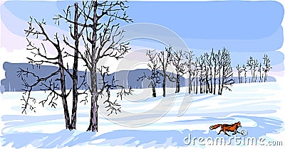 Little red fox runs across a snowy field. Vector Illustration