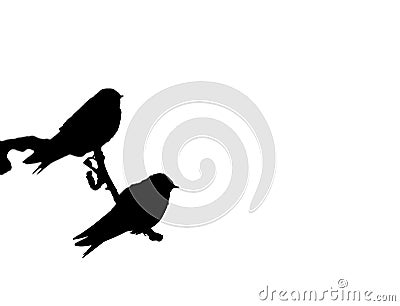 Black silhouettes of two birds on a branch on white background Stock Photo