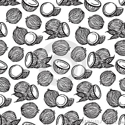 Black sketch coconuts outline seamless pattern. Vector drawing coco fruits. Hand drawn endless illustration, isolated on white Vector Illustration