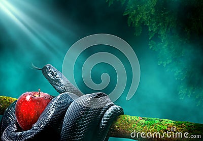 Black snake with an apple fruit in a branch of a tree Stock Photo