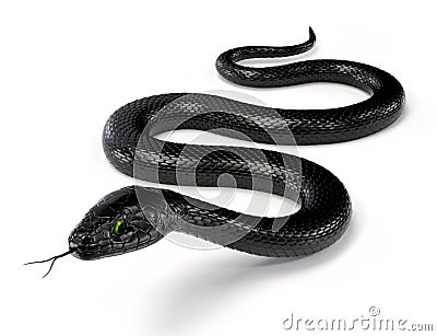 Black Snake with Green Eyes on White Background Cartoon Illustration