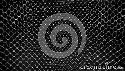 Black snake skin, abstrat leather texture for background. Stock Photo