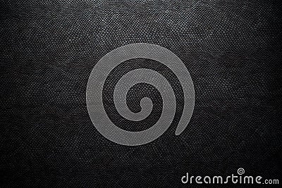 Black snake skin texture for background Stock Photo