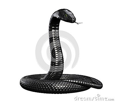 Black Snake on White Background Cartoon Illustration