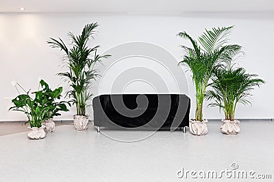 Black sofa in modern minimalism interior Stock Photo