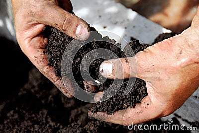 Black soil Stock Photo