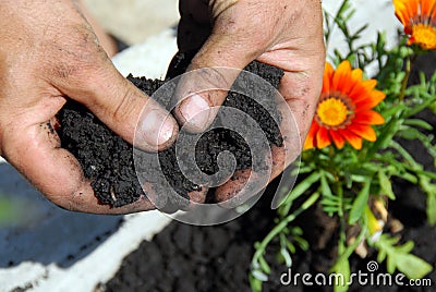 Black soil Stock Photo