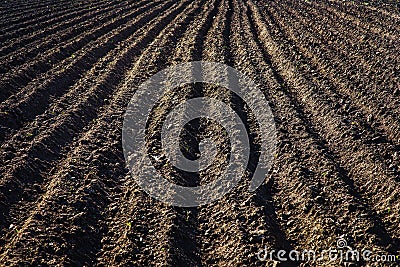 Black soil plowed field. Earth texture Stock Photo