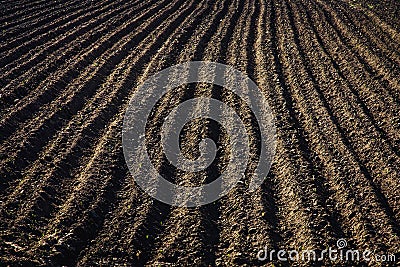 Black soil plowed field. Earth texture Stock Photo