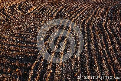 Black soil plowed field. Earth texture Stock Photo