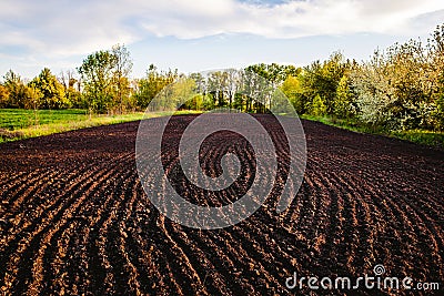 Black soil plowed field. Earth texture Stock Photo