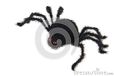 Black spider Stock Photo