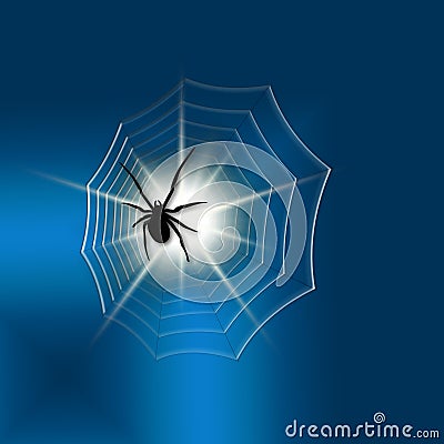 A black spider Stock Photo