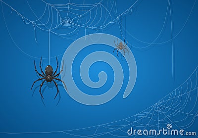 Black Spider on Blue Halloween Background Vector Illustration