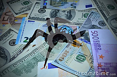 Black spider sits on dollar and euro banknotes Stock Photo