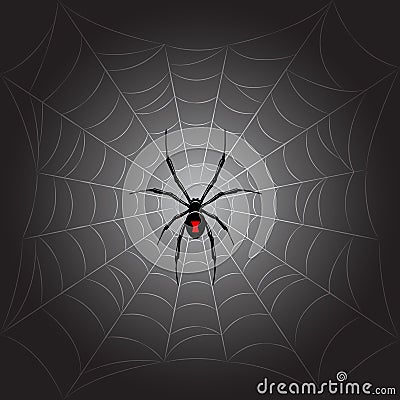 Black spider on web Vector Illustration