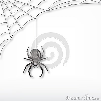 Black spider and web Vector Illustration