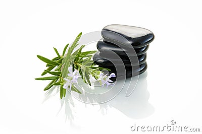 Black stones and sprig of rosemary Stock Photo