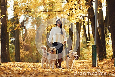 In black sunglasses. Woman on the walk with her two dogs in the autumn forest Stock Photo