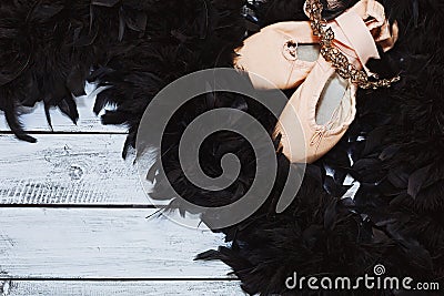 Black swan ballet props Stock Photo