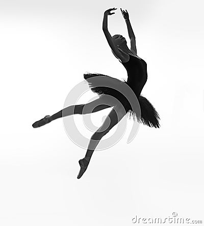 Black swan in a jump Stock Photo