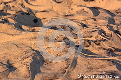 Black Swirls in the Sand Stock Photo