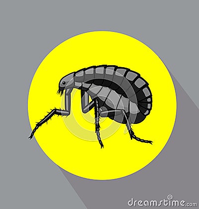 Black Tick Insect Vector Illustration