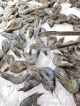 Black tiger shrimp placed on ice to preserve the freshness that is used for cooking. Stock Photo