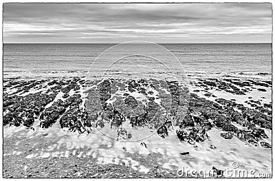 Fine Art image of the The retreating sea eroding the shore Stock Photo