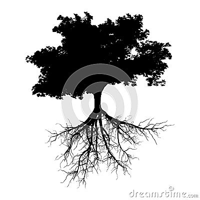 Black tree with roots Stock Photo