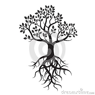 Black tree and roots Stock Photo