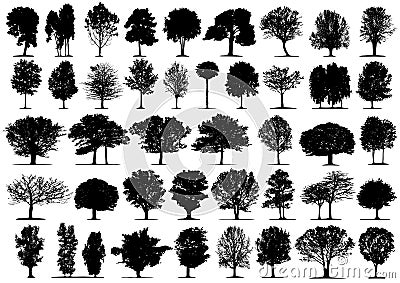 Black tree silhouettes Vector Illustration