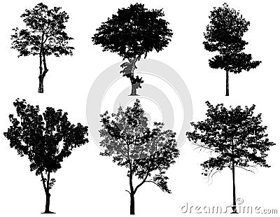 Black tree silhouettes collection isolated on white background Stock Photo