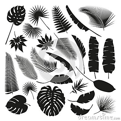 Black Tropical Leaves Collection, isolate vector. Set Vector Illustration