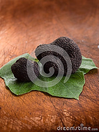 Black truffle over leaf Stock Photo