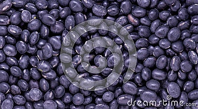 Black Turtle Bean Series 2 Stock Photo