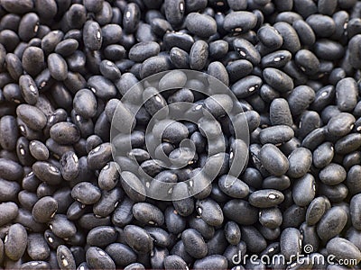 Black Turtle Beans Stock Photo