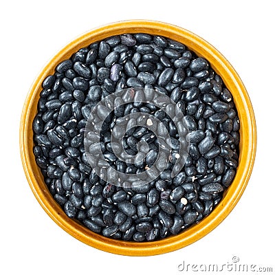 Black turtle beans in round bowl cutout Stock Photo