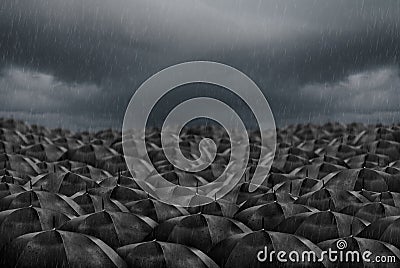 Black umbrellas in the Rain background Stock Photo