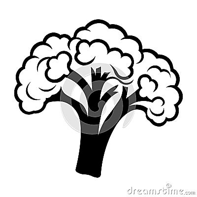 black vector broccoli icon on white background Vector Illustration