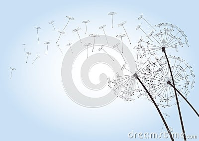 Black vector Dandelions. EPS outline Illustration. Stock Photo