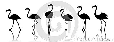 Black vector flamingo silhouettes isolated on white background Vector Illustration