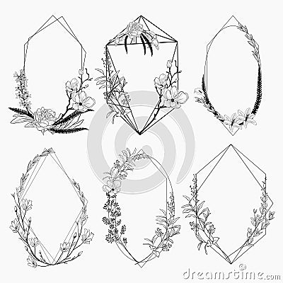 Vector Floristic Frames with Geometric Lines Design Vector Illustration